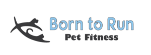 born to run fitness logo